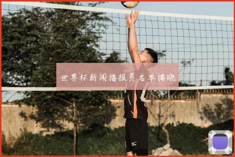 世界杯新闻播报员名单揭晓