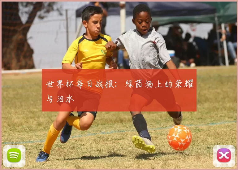 世界杯每日战报：绿茵场上的荣耀与泪水