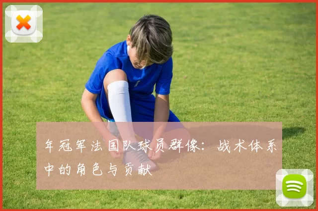 年冠军法国队球员群像：战术体系中的角色与贡献