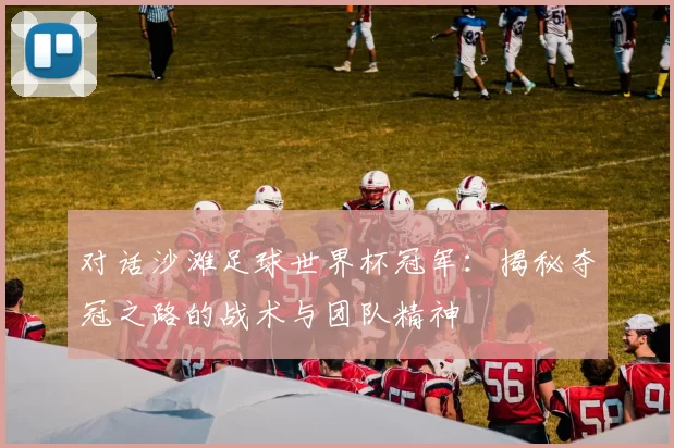 对话沙滩足球世界杯冠军：揭秘夺冠之路的战术与团队精神