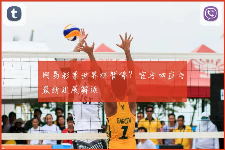 网易彩票世界杯暂停？官方回应与最新进展解读
