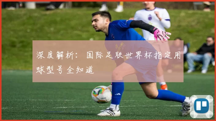 深度解析：国际足联世界杯指定用球型号全知道