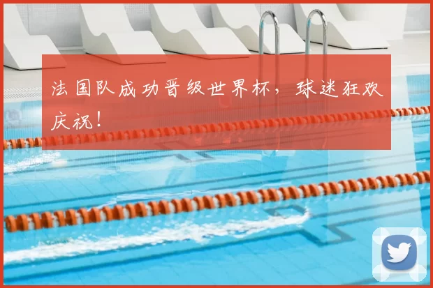 法国队成功晋级世界杯，球迷狂欢庆祝！