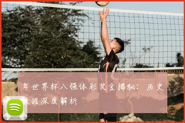 年世界杯八强体彩奖金揭秘：历史数据深度解析
